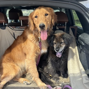 Fundraising Page: Regan Dahle